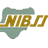 BVN / NIBSS logo